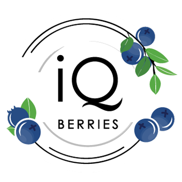 IQ Berries