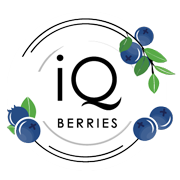 IQ Berries